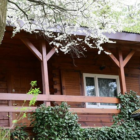 Sosnowy Domek Serpelice Exterior foto