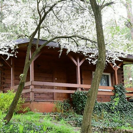 Sosnowy Domek Serpelice Exterior foto
